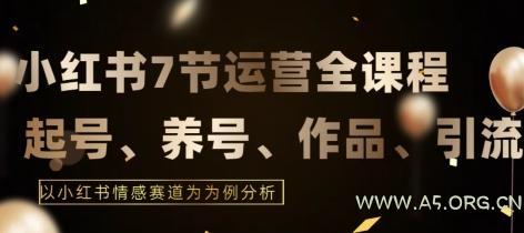 7节小红书运营实战全教程，结合最新情感赛道，打通小红书运营全流程【揭秘】-A5资源网