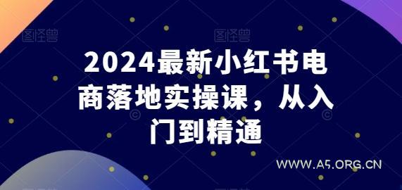2024最新小红书电商落地实操课，从入门到精通-A5资源网