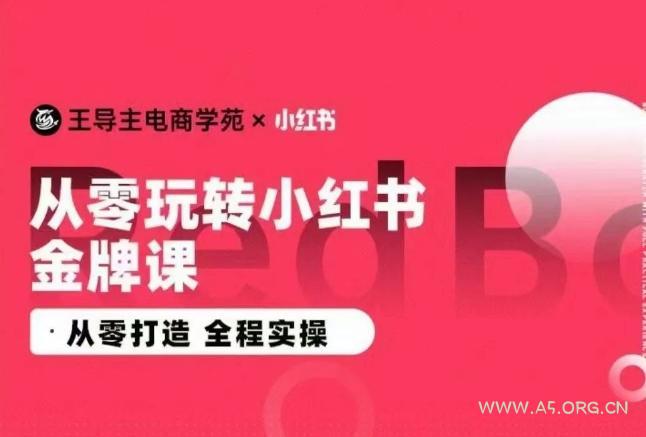 王导主·小红书电商运营实操课，​从零打造  全程实操-A5资源网
