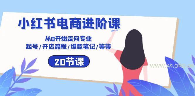 小红书电商进阶课：从0开始走向专业 起号/开店流程/爆款笔记/等等(20节-A5资源网