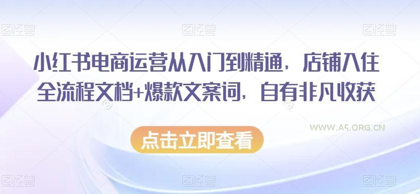 小红书电商运营从入门到精通，店铺入住全流程文档+爆款文案词，自有非凡收获-A5资源网