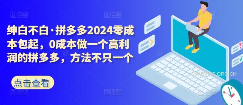 拼多多2024零成本包起，0成本做一个高利润的拼多多，方法不只一个-A5资源网