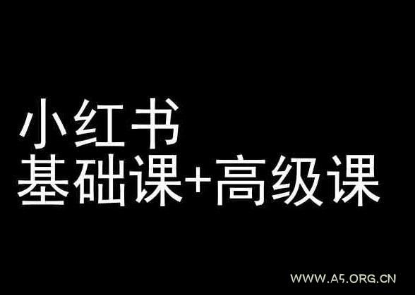 小红书基础课+高级课-小红书运营教程-A5资源网
