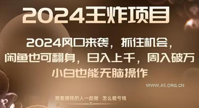 2024风口项目来袭，抓住机会，闲鱼也可翻身，日入上千，周入破万，小白也能无脑操作-A5资源网