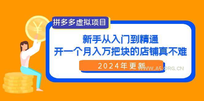 (9744期)拼多多虚拟项目：入门到精通，开一个月入万把块的店铺 真不难(24年更新)-A5资源网
