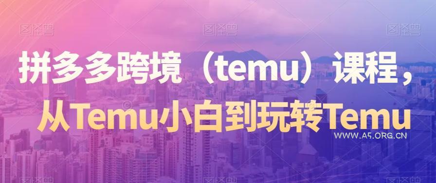 拼多多跨境（temu）课程，从Temu小白到玩转Temu-A5资源网