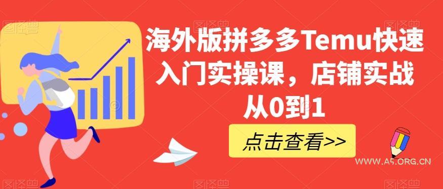 海外版拼多多Temu快速入门实操课，店铺实战从0到1-A5资源网