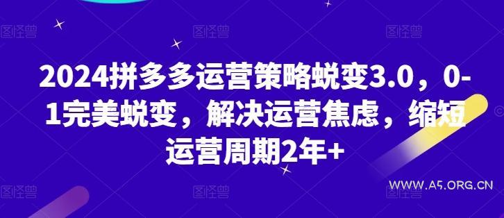 2024拼多多运营策略蜕变3.0，0-1完美蜕变，解决运营焦虑，缩短运营周期2年+-A5资源网