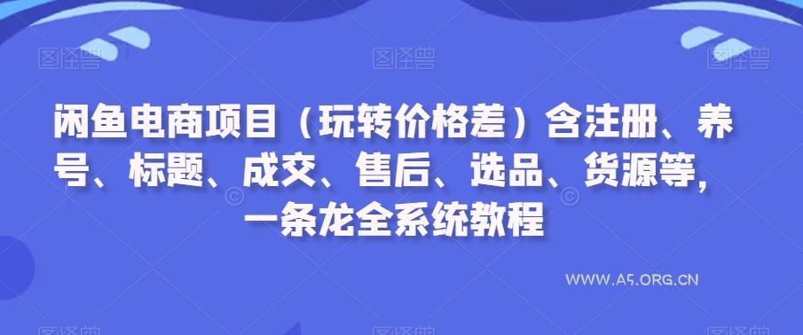 闲鱼电商项目(玩转价格差)含注册、养号、标题、成交、售后、选品、货源等，一条龙全系统教程-A5资源网