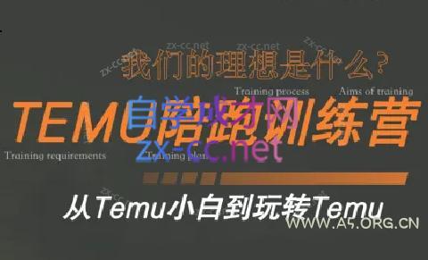 苗苗·拼多多跨境（temu）课程-A5资源网