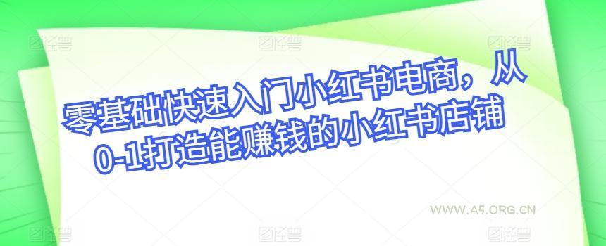 零基础快速入门小红书电商，从0-1打造能赚钱的小红书店铺-A5资源网