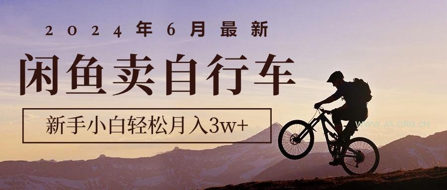 2024年6月最新闲鱼卖自行车，新手小白轻松月入3w+项目-A5资源网