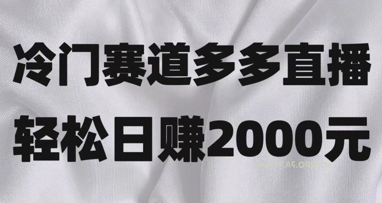 冷门赛道拼多多直播，简单念稿子，日收益2000＋【揭秘】-A5资源网