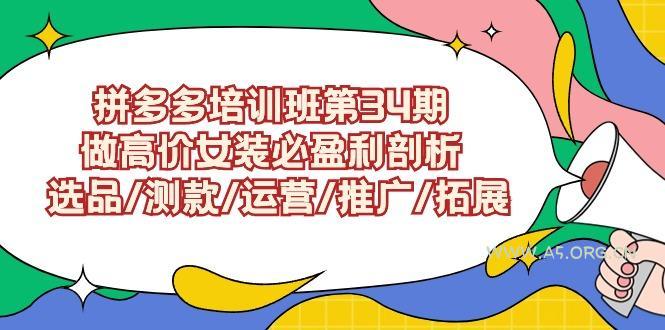 (9333期)拼多多培训班第34期：做高价女装必盈利剖析  选品/测款/运营/推广/拓展-A5资源网