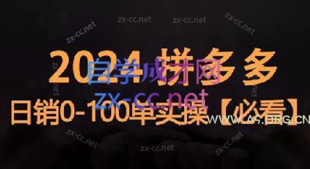 恒哥·2024拼多多日销0-100单实操-A5资源网