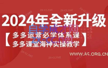 海神老师·拼多多运营必学体系课-A5资源网