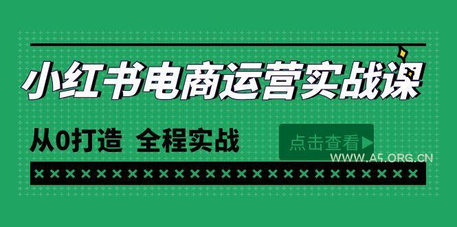 (9946期)最新小红书·电商运营实战课，从0打造  全程实战(65节视频课)-A5资源网