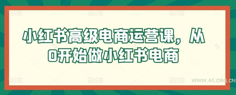 小红书高级电商运营课，从0开始做小红书电商-A5资源网