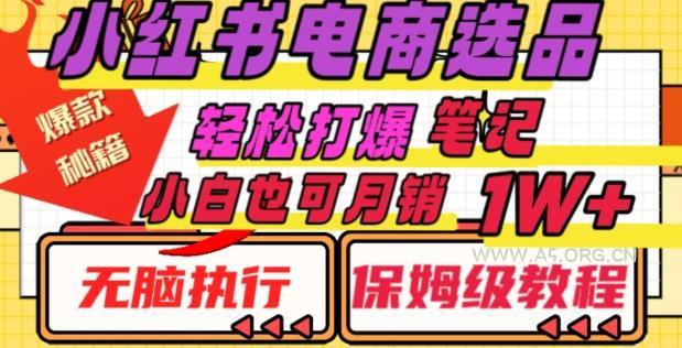 小红书电商爆款选品秘籍，帮你轻松打爆笔记，小白也可轻松月销10000+-A5资源网