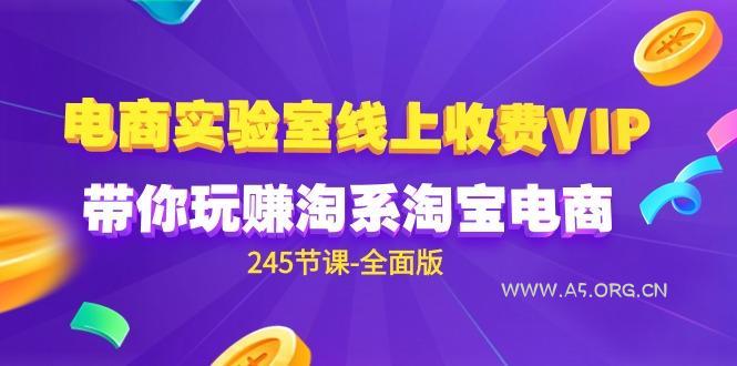 (9859期)电商-实验室 线上收费VIP，带你玩赚淘系淘宝电商(245节课-全面版)-A5资源网