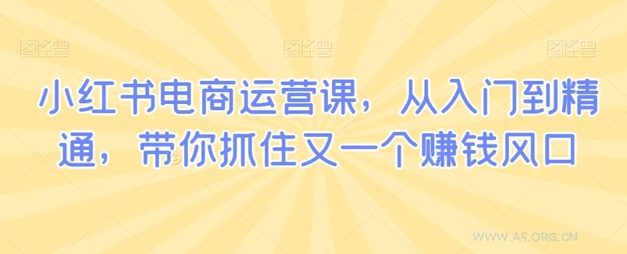 小红书电商运营课，从入门到精通，带你抓住又一个赚钱风口-A5资源网
