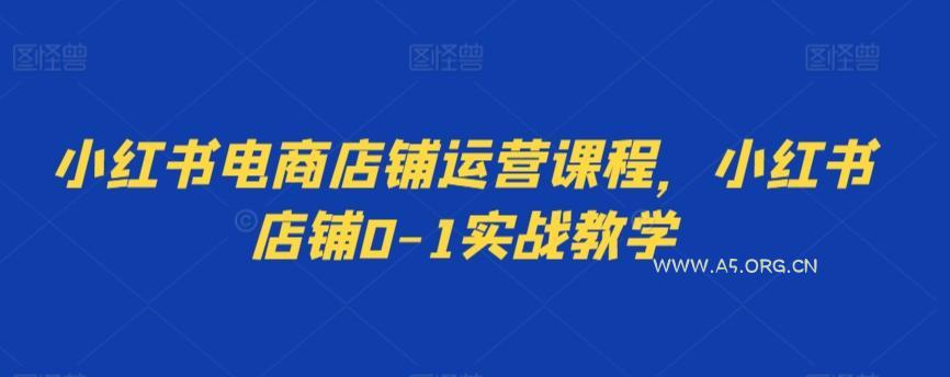 小红书电商店铺运营课程，小红书店铺0-1实战教学-A5资源网