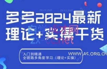 拼多多2024最新规则理论结合实际的干货-A5资源网