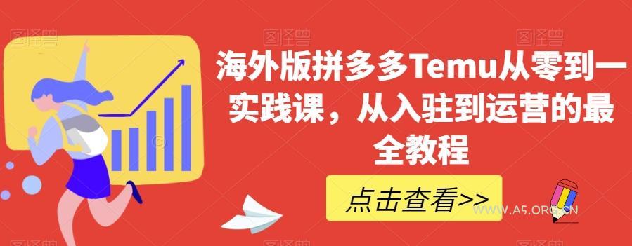 海外版拼多多Temu从零到一实践课，从入驻到运营的最全教程-A5资源网