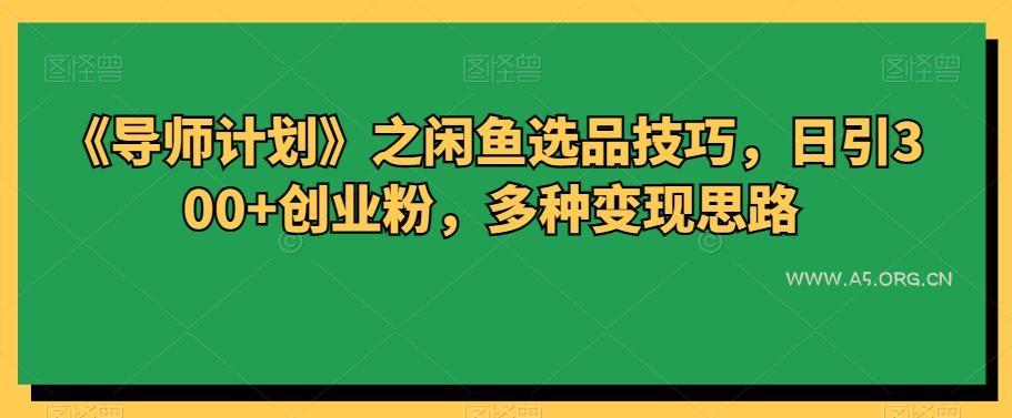 《导师计划》之闲鱼选品技巧，日引300+创业粉，多种变现思路-A5资源网