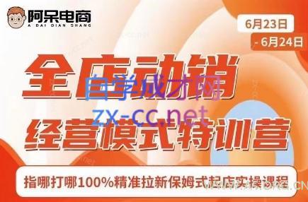 阿呆电商·全店动销经营模式特训营(线下录音+思维导图)-A5资源网