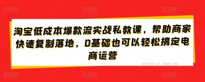 淘宝低成本爆款流实战私教课，帮助商家快速复制落地，0基础也可以轻松搞定电商运营-A5资源网
