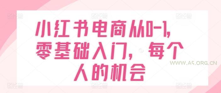 小红书电商从0-1，零基础入门，每个人的机会-A5资源网