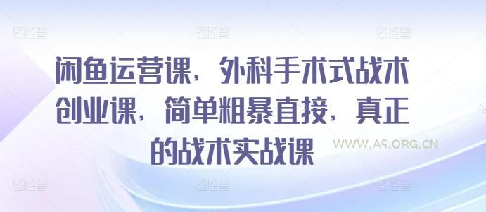 闲鱼运营课，外科手术式战术创业课，简单粗暴直接，真正的战术实战课-A5资源网