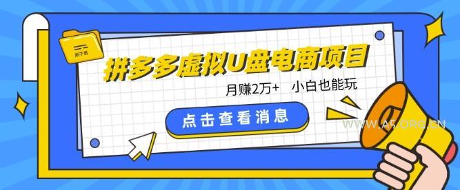 拼多多虚拟U盘电商红利项目：月赚2万+，新手小白也能玩-A5资源网