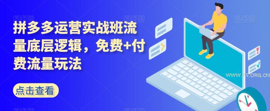 拼多多运营实战班流量底层逻辑，免费+付费流量玩法-A5资源网
