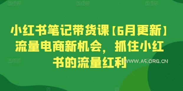 小红书笔记带货课【6月更新】流量电商新机会，抓住小红书的流量红利-A5资源网