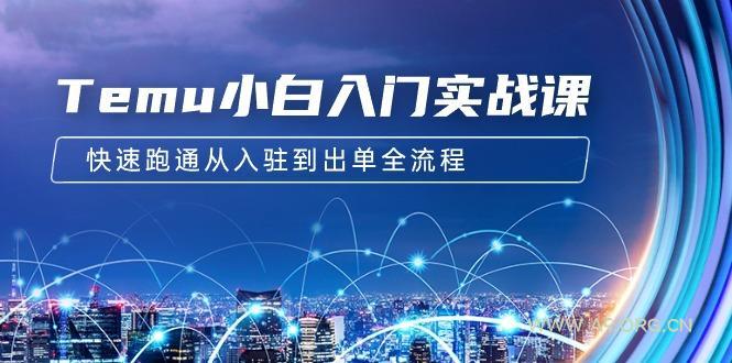 (9295期)Temu小白入门实战课：跨境拼多多电商培训 快速跑通从入驻到出单全流程-12节-A5资源网