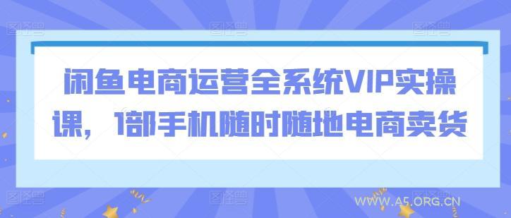 闲鱼电商运营全系统VIP实操课，1部手机随时随地电商卖货-A5资源网