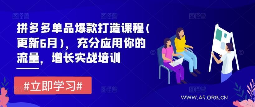拼多多单品爆款打造课程(更新6月)，充分应用你的流量，增长实战培训-A5资源网