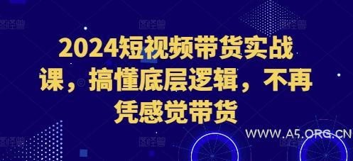 2024短视频带货实战课，搞懂底层逻辑，不再凭感觉带货-A5资源网
