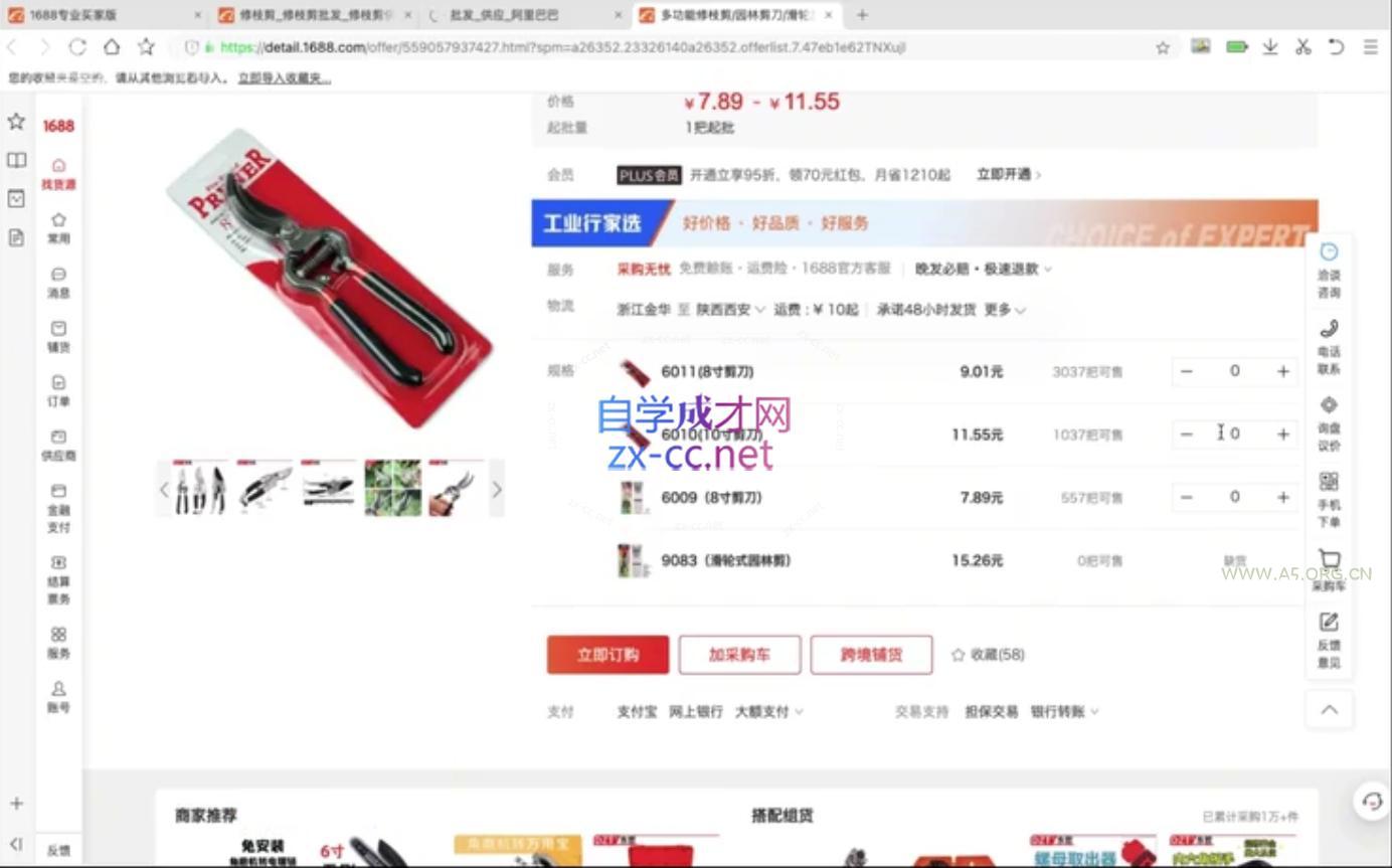苗苗·拼多多跨境（temu）课程 - A5资源网