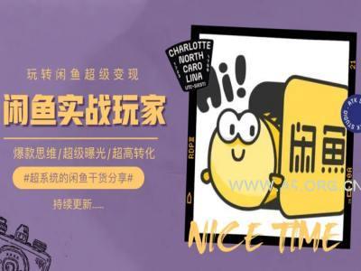 手把手教你0到1系统玩转闲鱼变现，爆款思维/超级曝光/超高转化-A5资源网