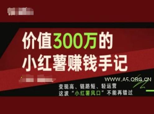价值300万的小红书赚钱手记，变现高、链路短、轻运营，这波“小红薯风口”不能再错过-A5资源网