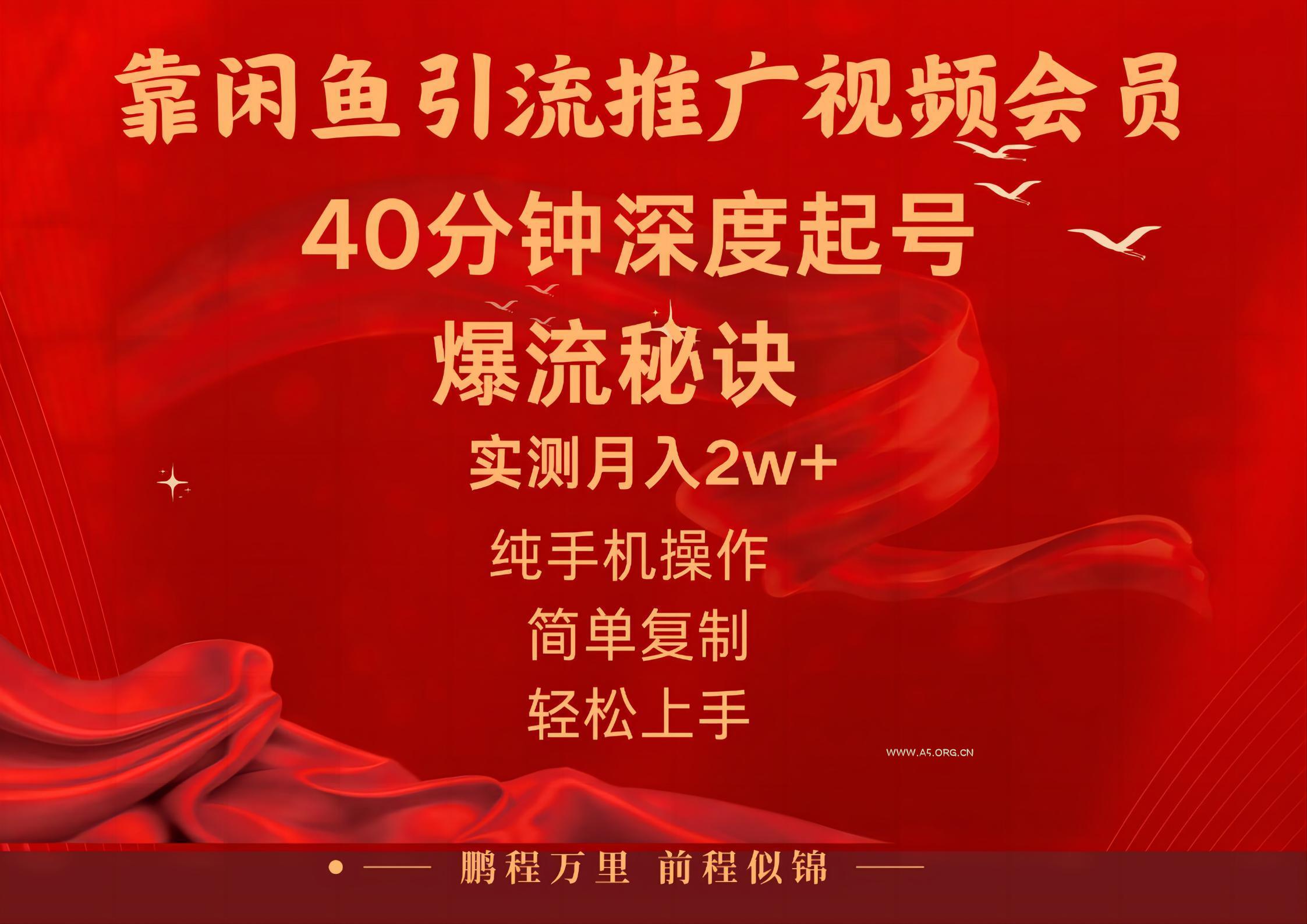 闲鱼暴力引流推广视频会员，能做到日入2W+，操作简单-A5资源网