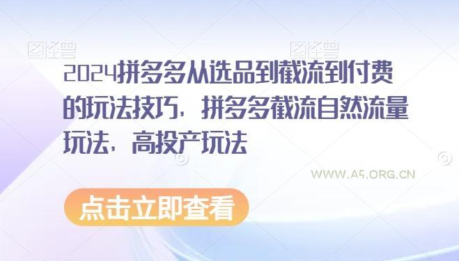 2024拼多多从选品到截流到付费的玩法技巧，拼多多截流自然流量玩法，高投产玩法-A5资源网