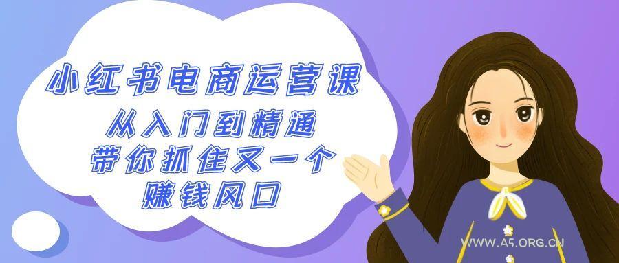2024小红书电商运营课，从入门到精通，带你抓住又一个赚钱风口(50节课)-A5资源网