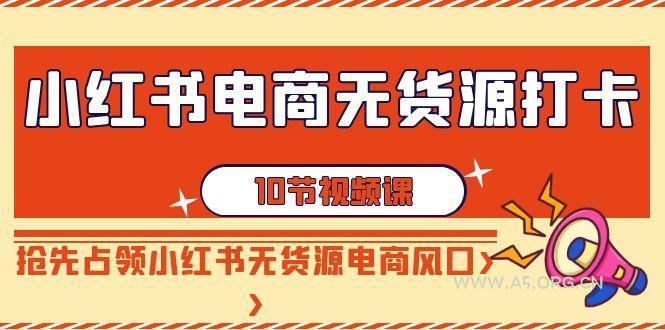 小红书电商无货源打卡，抢先占领小红书无货源电商风口(10节课)-A5资源网