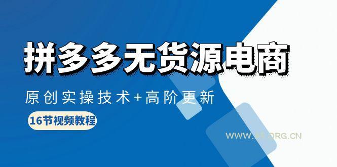 (10015期)拼多多无货源电商，原创实操技术+高阶更新(16节视频教程)-A5资源网