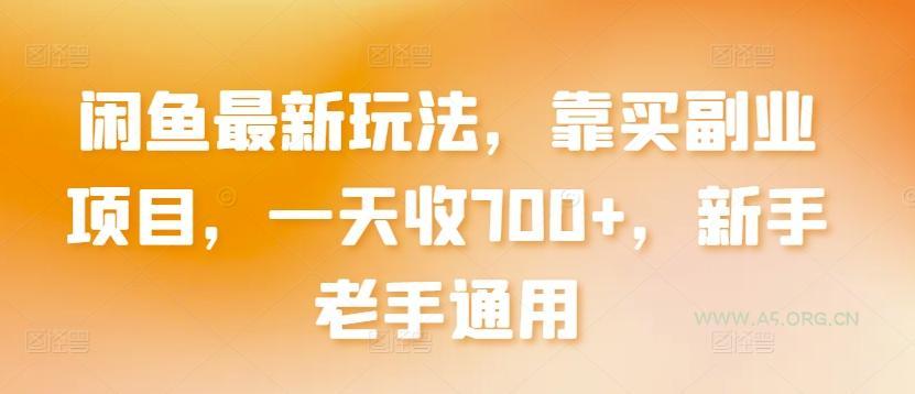 闲鱼最新玩法，靠买副业项目，一天收700+，新手老手通用【揭秘】-A5资源网