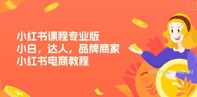 小红书课程专业版，小白，达人，品牌商家，小红书电商教程(15节-A5资源网